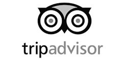 Trip Advisor