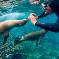 galapagos